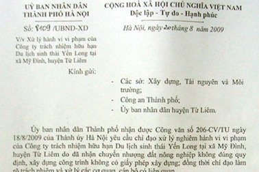 Yêu cầu xử lý nghiêm vụ xây biệt thự trên đất nông nghiệp