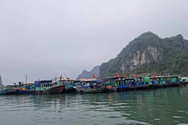 Quảng Ninh cấm biển từ 12h, Hải Phòng dừng hoạt động trên vịnh Lan Hạ