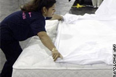 Khách sạn Mỹ khổ vì rận!