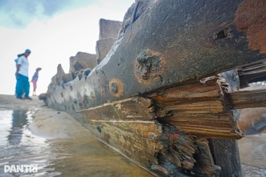 Đề xuất khai quật khẩn cấp tàu gỗ cổ phát lộ ở biển Hội An