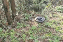 Kinh hãi phát hiện rắn hổ mang dài 3m chui lên từ dưới bồn cầu