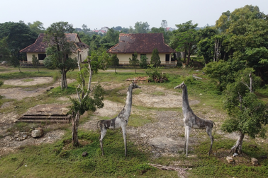 Dự án khu du lịch sinh thái hàng chục tỷ ven sông hoang tàn