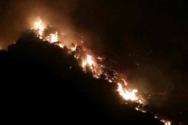 Hơn 300 người trắng đêm dập đám cháy rừng