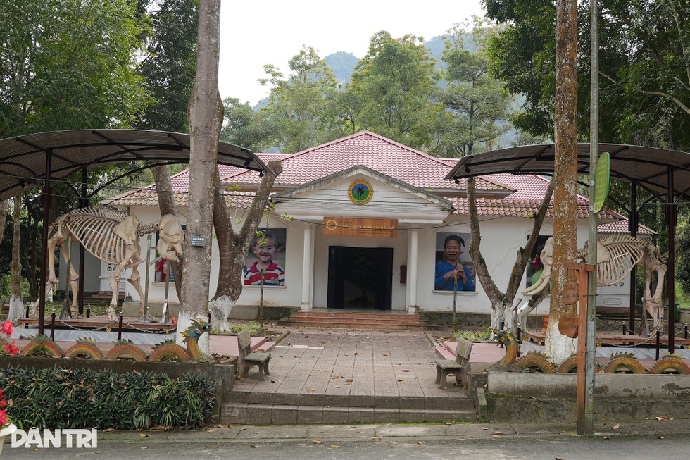 Minh chứng sống và thông điệp của 2 bộ xương voi ở Pù Mát - 1 Minh chứng sống và thông điệp của 2 bộ xương voi ở Pù Mát - 1