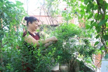 Muôn kiểu trồng rau sạch độc đáo của người Hà Nội