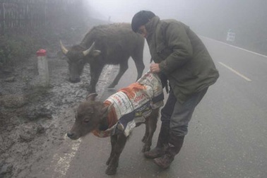 Miền Bắc đón đợt lạnh mới, vùng núi cao có nơi dưới 10 độ C