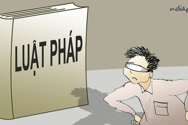 Những người Việt xấu xí, "não bé", gan to....