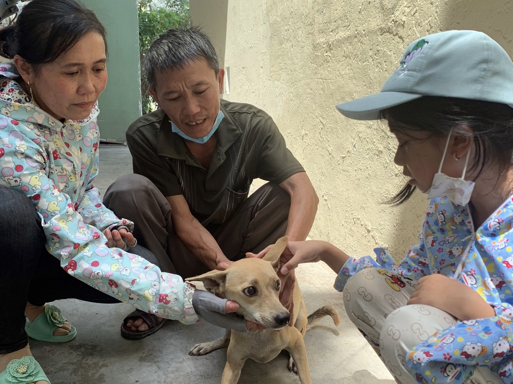 Đi tìm chó lạc, giải cứu luôn cả đàn 31 con trong lò mổ - 3 Đi tìm chó lạc, giải cứu luôn cả đàn 31 con trong lò mổ - 3