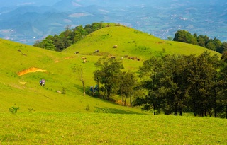 Ngắm thảo nguyên xanh mướt, điểm trekking lý tưởng ở Thanh Hóa - 1