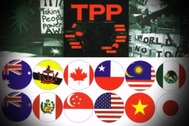 Thuế nhập khẩu ô tô sẽ về 0% sau 10 năm gia nhập TPP