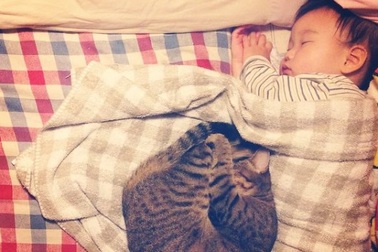 Dễ thương như bé với bạn... mèo