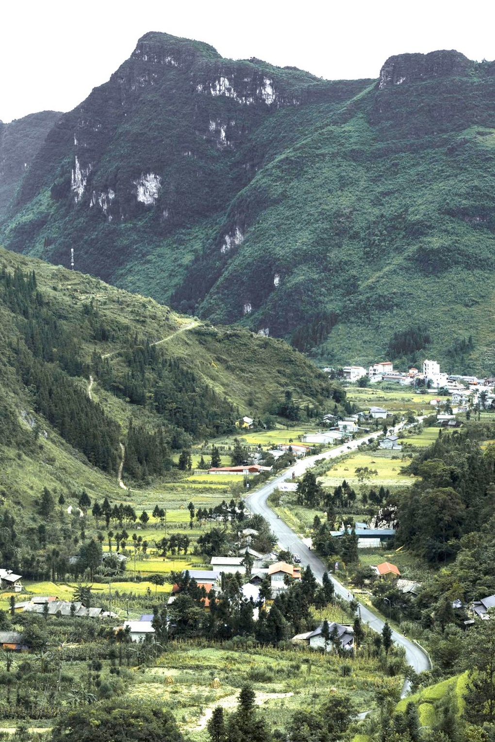 Cảnh ở Việt Nam đẹp như Thụy Sĩ, hóa ra chụp tại Hà Giang - 1 Cảnh ở Việt Nam đẹp như Thụy Sĩ, hóa ra chụp tại Hà Giang - 1