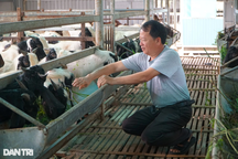 Cậu bé chăn vịt thành ông chủ trang trại thu hàng tỷ đồng mỗi năm