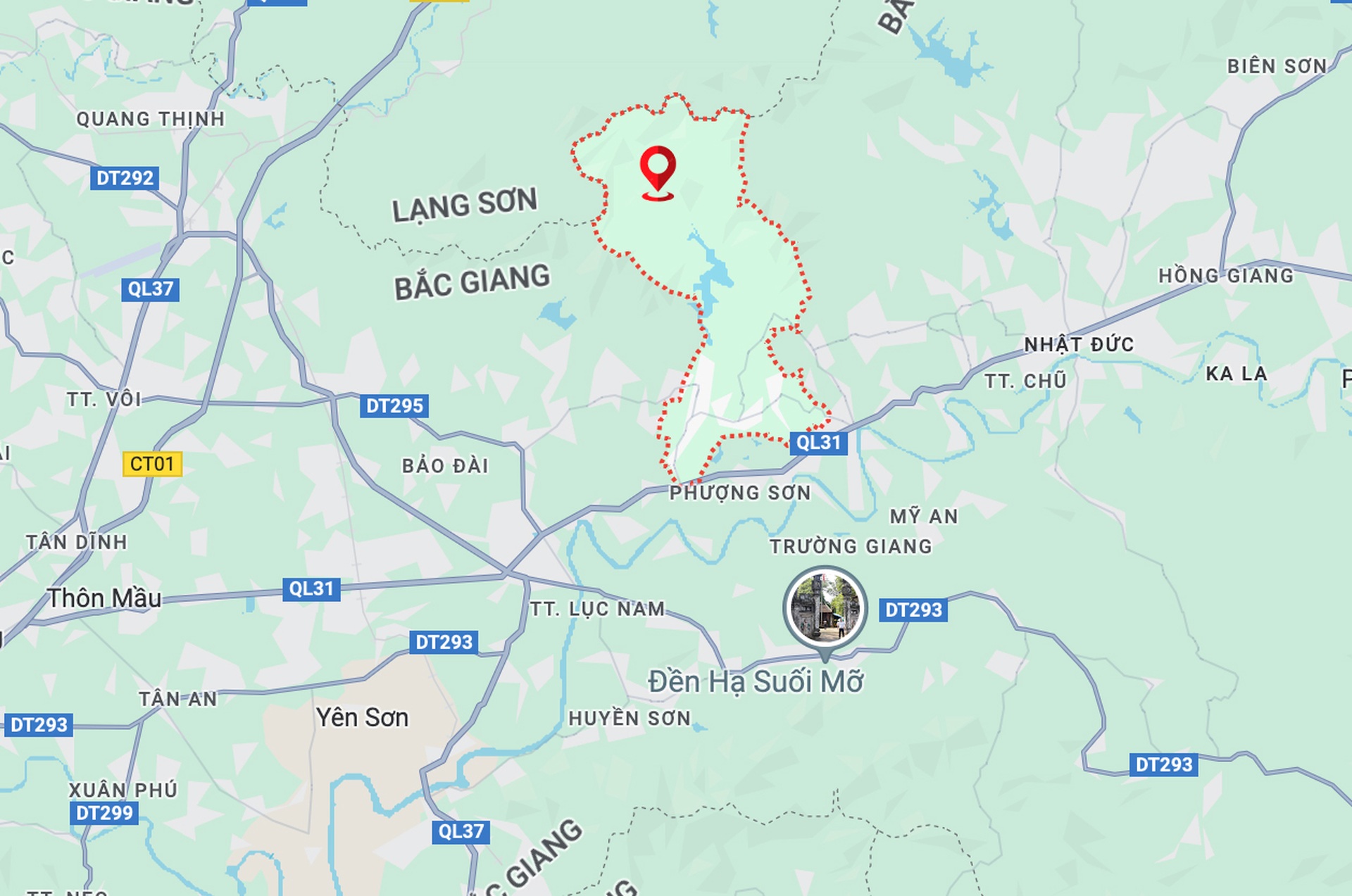 Khu rừng đẹp như tranh dự kiến xây công viên nghĩa trang 3.865 tỷ đồng - 10 Khu rừng đẹp như tranh dự kiến xây công viên nghĩa trang 3.865 tỷ đồng - 10