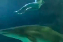 Du khách khỏa thân”đại náo” hồ chứa đầy cá mập