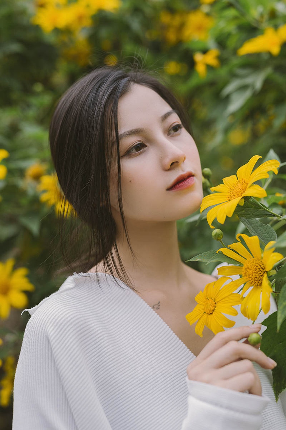 Thiếu nữ Bắc Giang “khoe” nét đẹp trong veo bên hoa dã quỳ - 2 Thiếu nữ Bắc Giang “khoe” nét đẹp trong veo bên hoa dã quỳ - 2