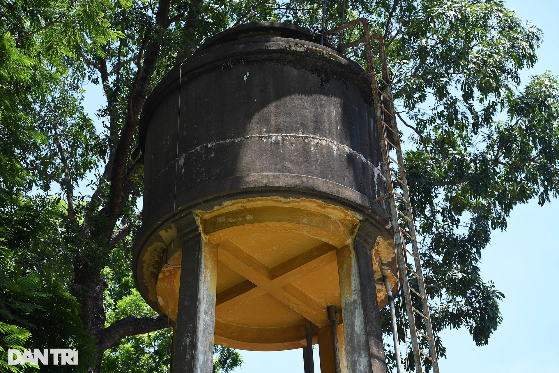 Khám phá ngôi trường hơn 100 năm tuổi tại TPHCM được công nhận di tích - 12 Khám phá ngôi trường hơn 100 năm tuổi tại TPHCM được công nhận di tích - 12