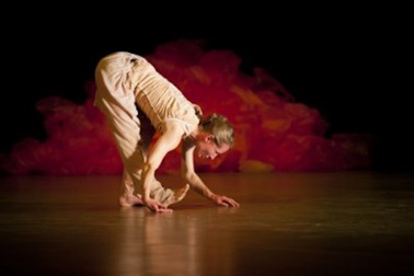 Liên hoan múa châu Âu – Việt Nam lần hai