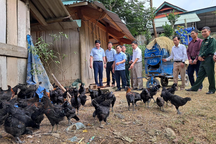 Giải ngân vốn chương trình mục tiêu quốc gia thấp do năng lực cán bộ