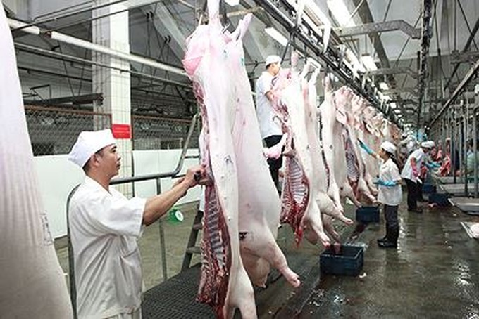 Tỉnh Bắc Ninh sẽ xử lý việc sử dụng chất cấm trong chăn nuôi, giết mổ gia súc (Ảnh MH).