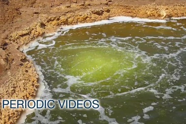 Ở vùng nước mặn nhất thế giới xác chim chết từ lâu nhưng không phân hủy