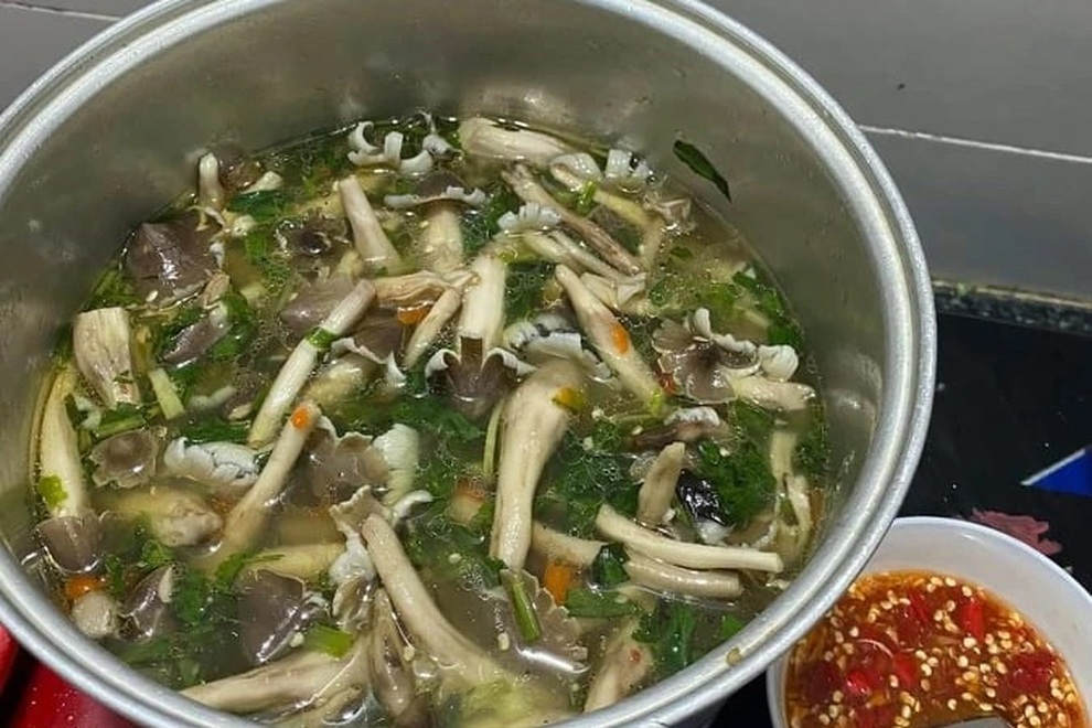 Đêm đi săn nấm vua, ngày bỏ túi bạc triệu - 6 Đêm đi săn nấm vua, ngày bỏ túi bạc triệu - 6