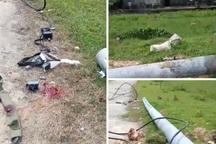 Vụ cột điện đổ đè công nhân tử vong: Nhà thầu thừa nhận sai sót