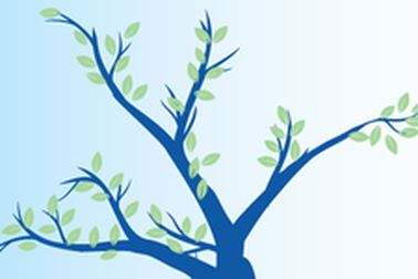 Điểm lại những thành tựu nổi bật của Suntory Pepsico Việt Nam 2017