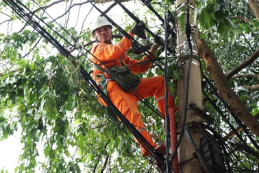 Những người thợ áo cam căng mình dựng cột, nối đường dây sau bão Kajiki