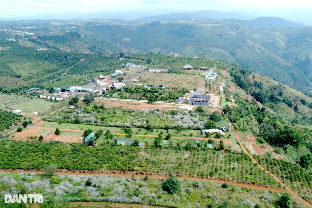 Tháo gỡ khó khăn cho công tác giảm nghèo vùng đồng bào dân tộc thiểu số - 1 Tháo gỡ khó khăn cho công tác giảm nghèo vùng đồng bào dân tộc thiểu số - 1