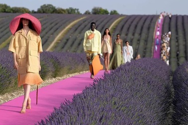 Xao xuyến trước sàn catwalk nằm giữa cánh đồng hoa oải hương