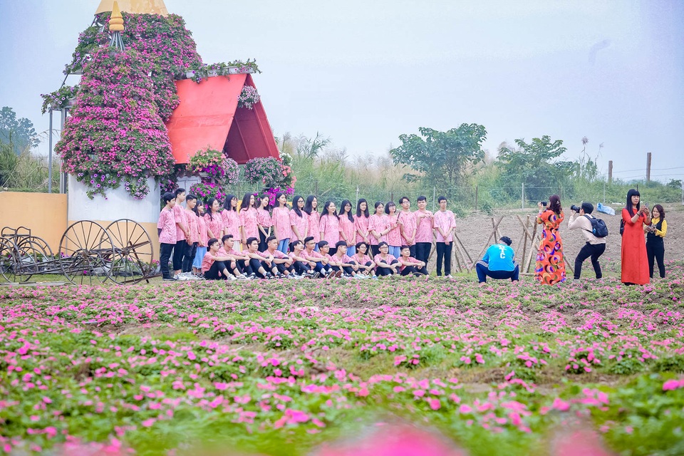 Đồi hoa ngọc thảo hồng đẹp như tranh vẽ tại Hà Nội - 11 Đồi hoa ngọc thảo hồng đẹp như tranh vẽ tại Hà Nội - 11