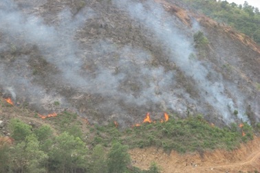 Lại cháy rừng do dân đốt thực bì