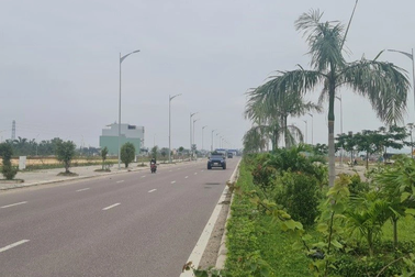 Bình Định yêu cầu giải trình hơn 380 hồ sơ khai giá đất thấp hơn thực tế