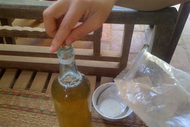 Mật ong "xịn" = vỏ cây + đường + phèn chua