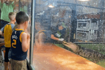 Clip: Khoảnh khắc kinh hoàng khi cá sấu tấn công người huấn luyện