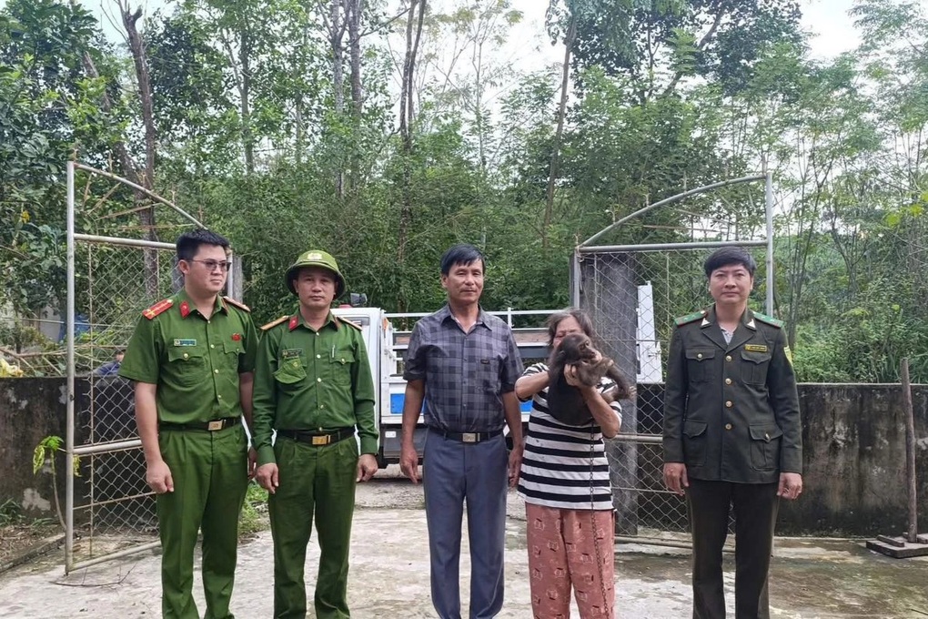 Hai cá thể khỉ quý hiếm đi lạc vào vườn nhà dân - 1