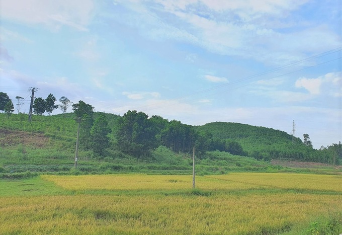 Ảnh minh họa