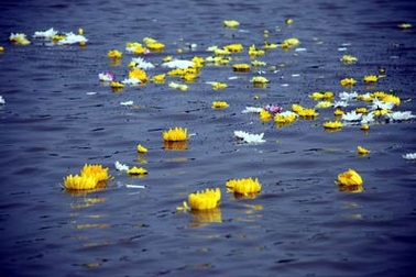 Lễ rải tro tượng trưng cố Thủ tướng Võ Văn Kiệt