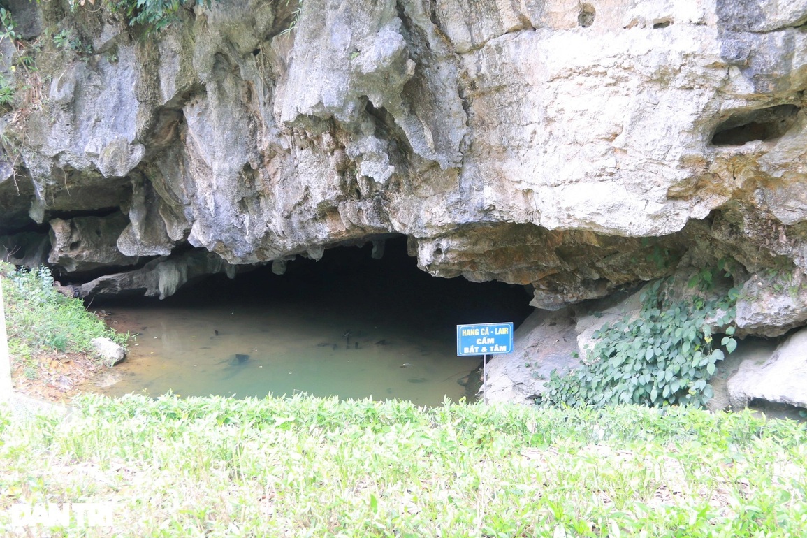 Đột nhập hang động nơi vua Đinh nhốt hổ trừng trị kẻ trọng tội - 3 Đột nhập hang động nơi vua Đinh nhốt hổ trừng trị kẻ trọng tội - 3