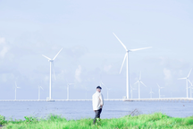 "Săn" ảnh đẹp ở 5 cánh đồng quạt gió nổi tiếng Việt Nam