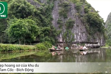 Tam Cốc - Bích Động tuyệt đẹp mùa hoa sen