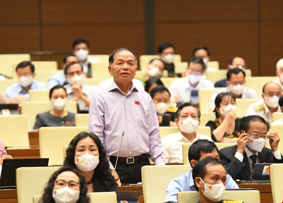 Đại biểu Quốc hội tranh luận việc giám sát sáp nhập huyện, xã - 1 Đại biểu Quốc hội tranh luận việc giám sát sáp nhập huyện, xã - 1
