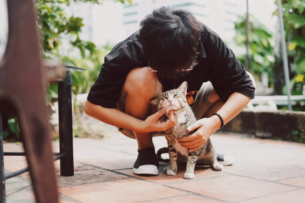 Mái ấm của những thú cưng bị bỏ rơi tại Hà Nội - 7 Mái ấm của những thú cưng bị bỏ rơi tại Hà Nội - 7