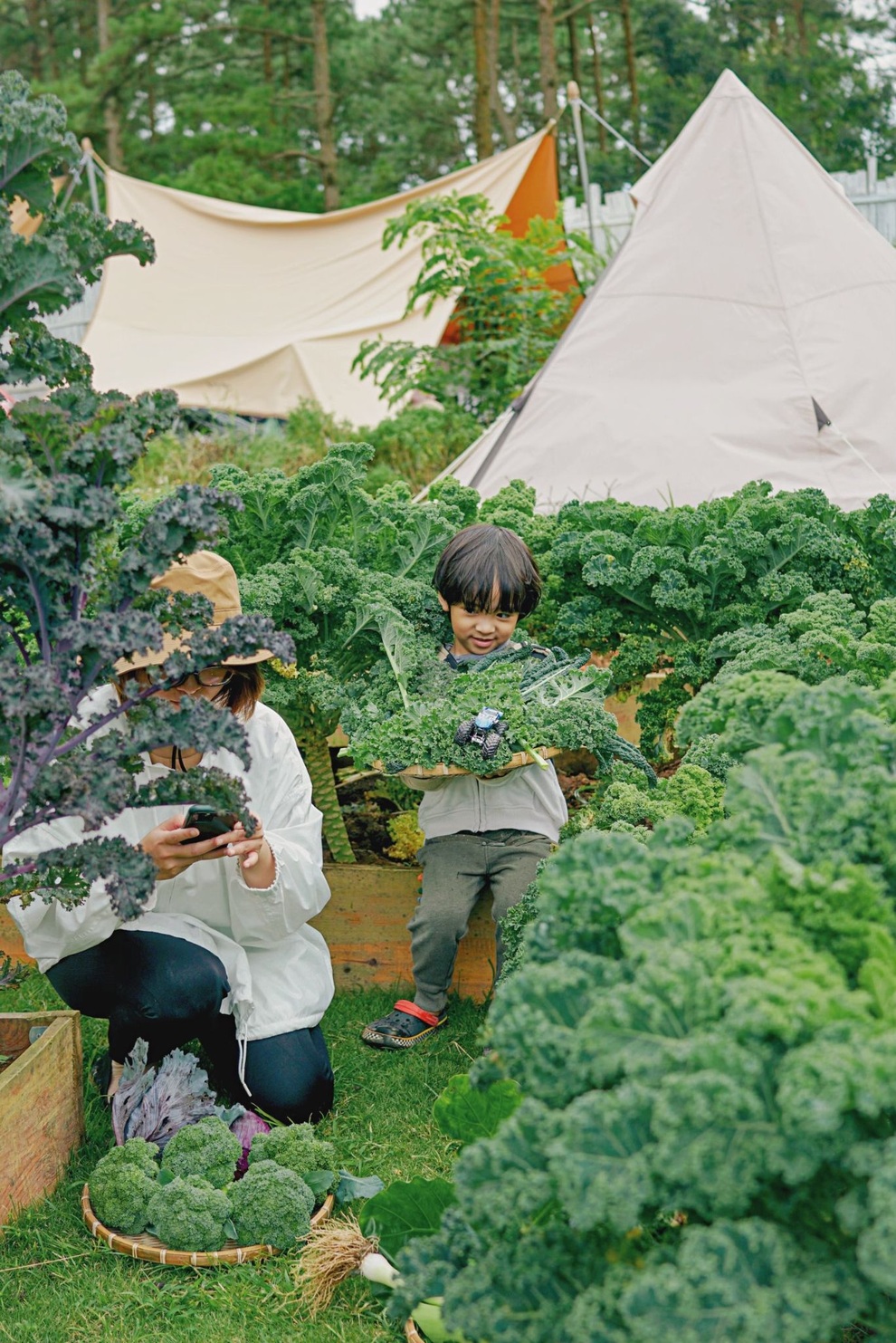 Gia đình Sài Gòn bỏ phố về rừng, biến đồi trọc thành trang trại trong mơ - 8