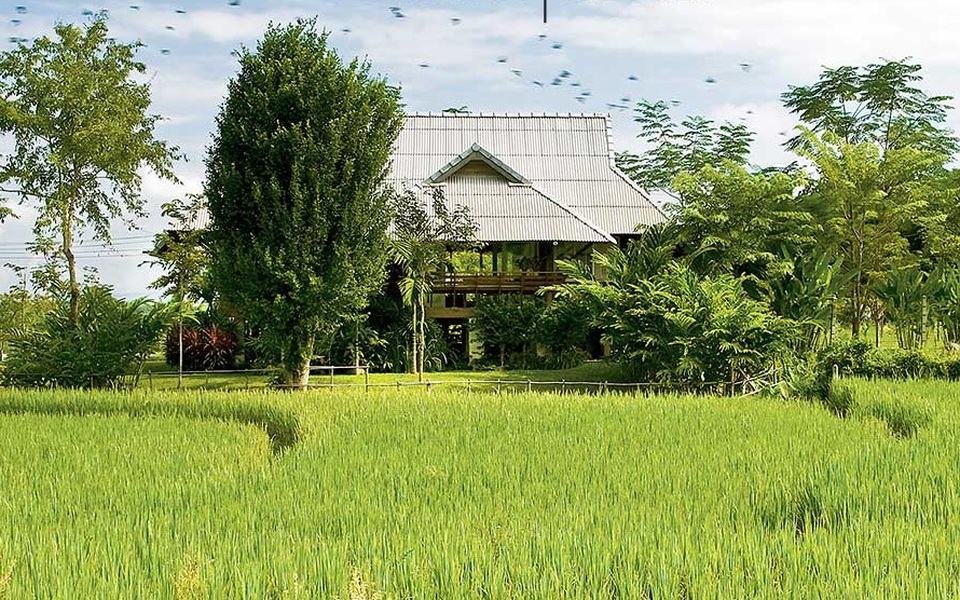 Không cần biệt thự hoành tráng, nhà cấp 4 ở quê vẫn vừa đẹp vừa chất - 1 Không cần biệt thự hoành tráng, nhà cấp 4 ở quê vẫn vừa đẹp vừa chất - 1