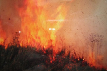 Bỏng nặng khi dũng cảm chữa cháy rừng U Minh Hạ