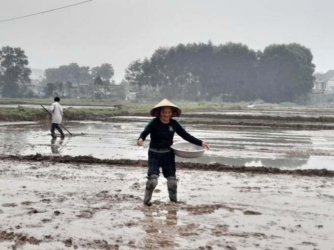 Người dân Đoài Thịnh gieo sạ đón xuân về