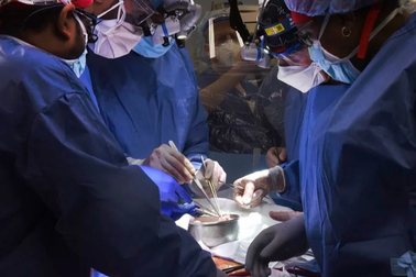 Hé lộ nguyên nhân cái chết của người đàn ông được ghép tim lợn