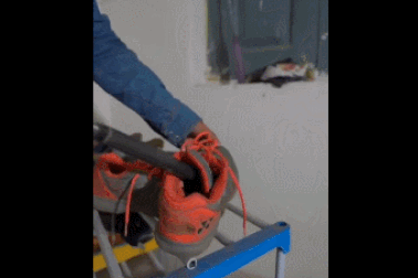 Rắn hổ mang lẩn trốn bên trong chiếc giày thể thao